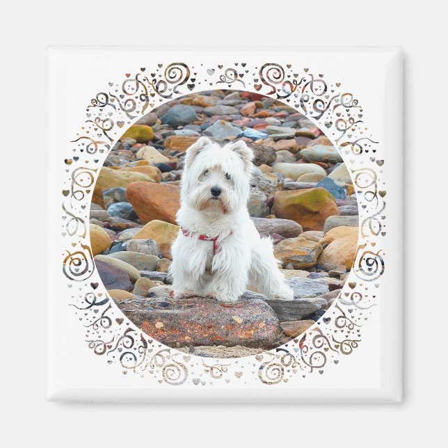 Westie på Sten Magnet (Framsidan)