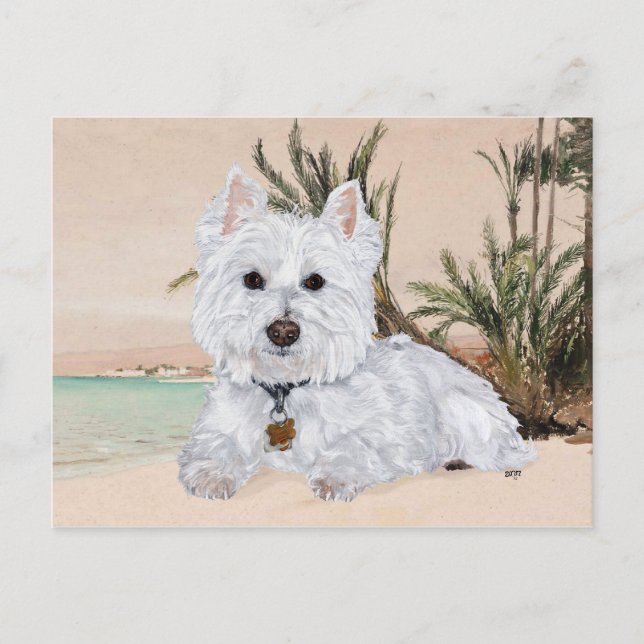 Westie på stranden vykort (Framsida)