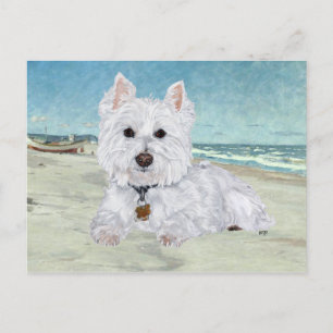 Westie på stranden vykort