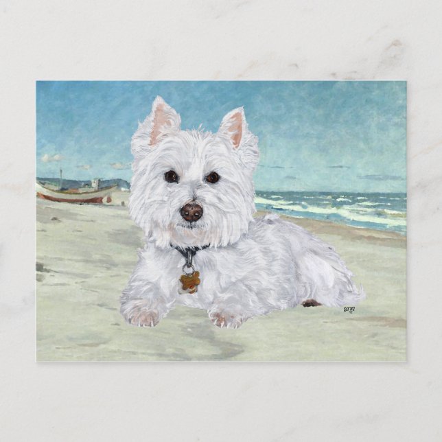 Westie på stranden vykort (Framsida)