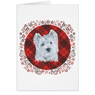 Westie på Tartan Hälsningskort