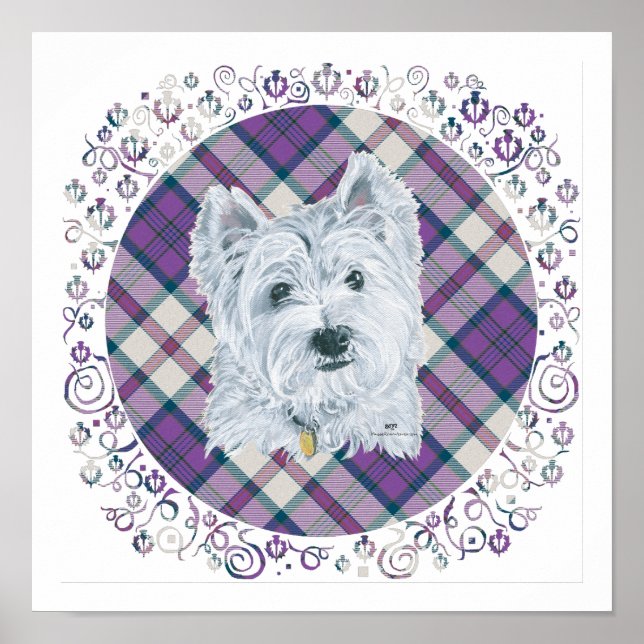 Westie på Tartan Poster (Framsidan)