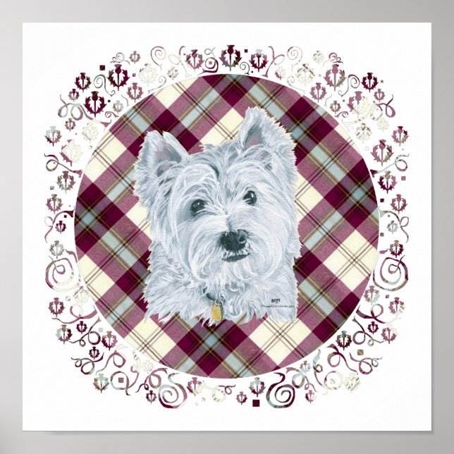 Westie på Tartan Poster (Framsidan)