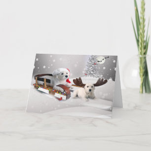 Westie Pals Njut av juldagsutlysning Helgkort
