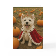 Westie Queen på Halloween