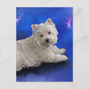 Westie Resting Vykort