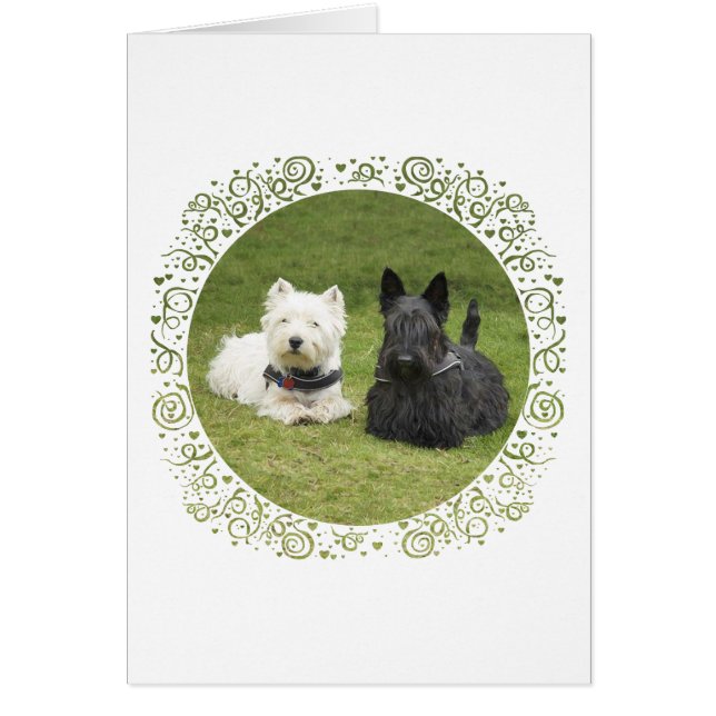 Westie & Scottie Grön Gräs Hälsningskort (Framsidan)