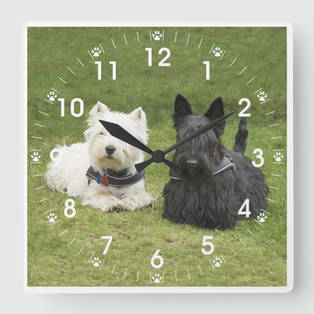 Westie & Scottie Grönt Grass Fyrkantig Klocka (Framsida)