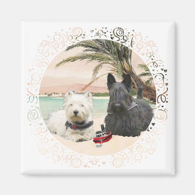 Westie & Scottie på Palmy Beach Magnet (Framsidan)