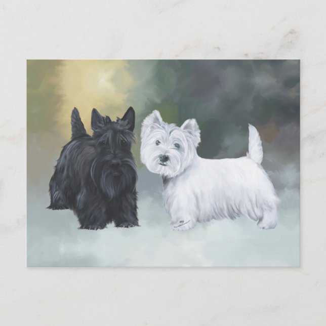 Westie Scottie Vintertid Vykort (Framsida)