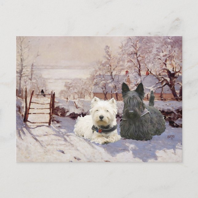 Westie & Scottie Winter Magpie Vykort (Framsida)