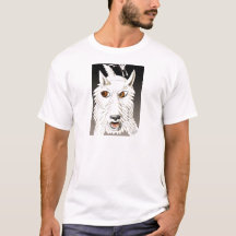 Westie spring