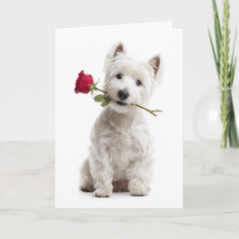 Westie Valentine Kort
