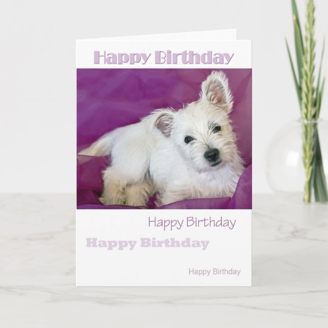 Westie Valp Card Kort (Framsida)