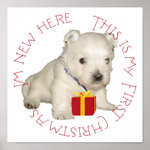 Westie-valp Första julen Poster