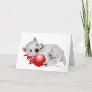Westie Valp Jul Lekstund Helgkort