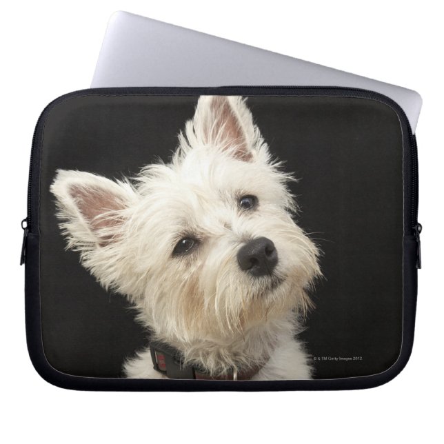 Westie (Väster Highland skräcker) med collar Laptop Sleeve (Framsidan)