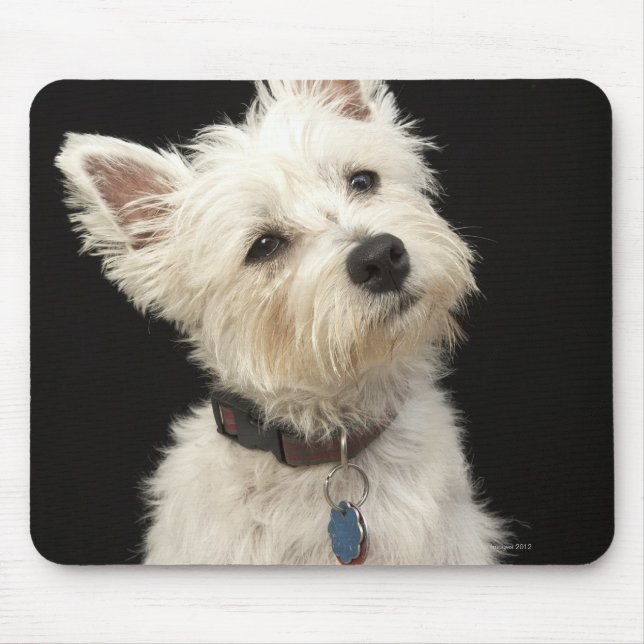 Westie (Väster Highland skräcker) med collar Musmatta (Framsidan)