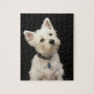 Westie (Väster Highland skräcker) med collar Pussel