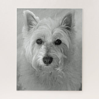 Westie (Väster Highland White Terrier) Hund Jigsza Pussel