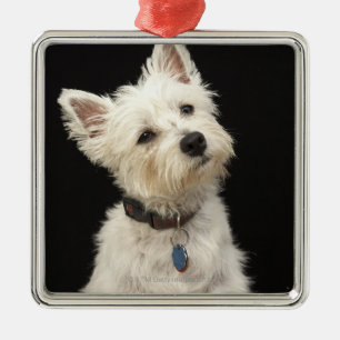 Westie (västra höglands- terrier) med förser me julgransprydnad metall
