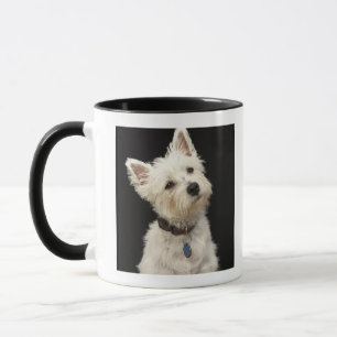 Westie (västra höglands- terrier) med förser me mugg