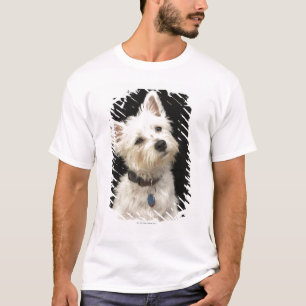 Westie (västra höglands- terrier) med förser me t-shirt