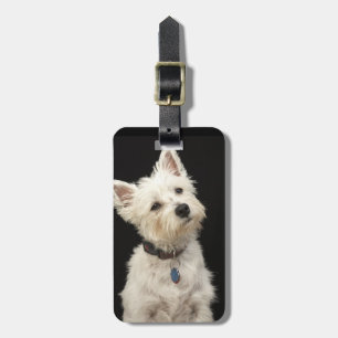 Westie (västra höglands- terrier) med förser med bagagebricka