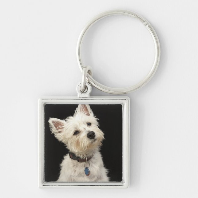 Westie (västra höglands- terrier) med förser med fyrkantig silverfärgad nyckelring (Framsidan)