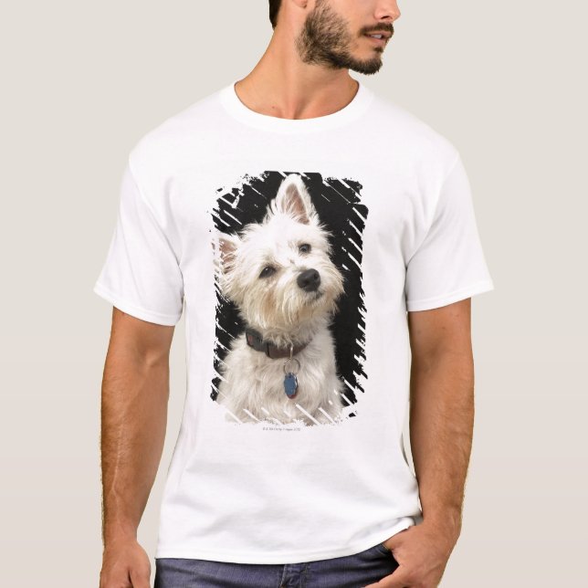 Westie (västra höglands- terrier) med förser med t-shirt (Framsida)