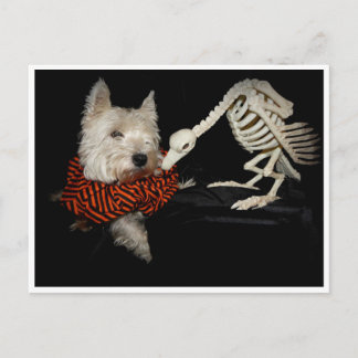 Westie Vculture Skeleton Halloween Vykort