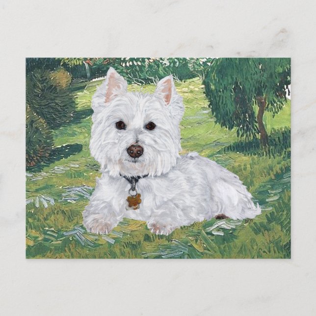 Westie Vykort (Framsida)