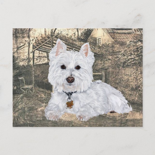 Westie vykort (Framsida)