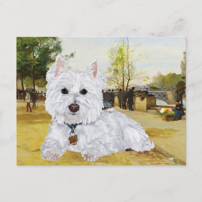 Westie Vykort (Framsida)