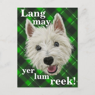 Westie Wisdom. Lang får lum reek! Vykort