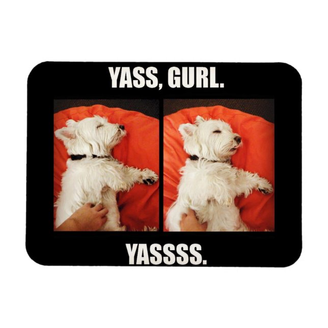 Westie Yass Gurl Funny Magnet (Horisontell)