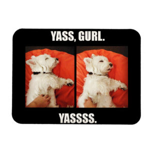 Westie Yass roliga Gurl Magnet