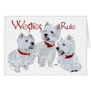 Westies härskar! hälsningskort
