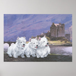 Westies i Skottland Poster