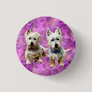 Westies knapp