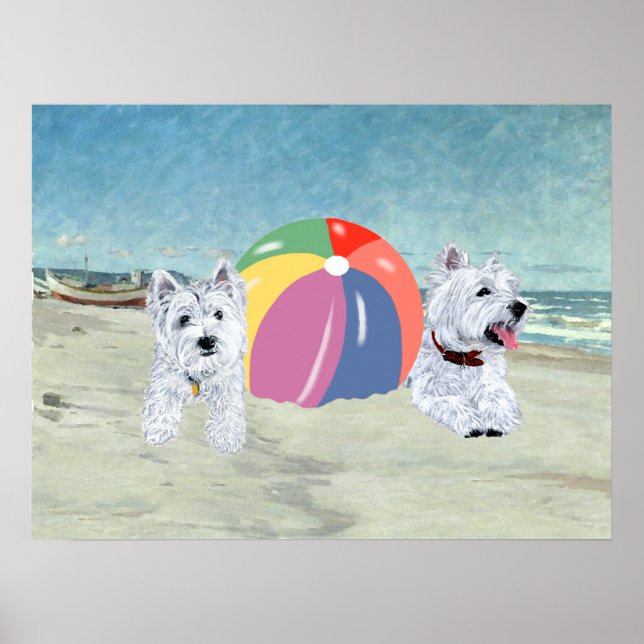 Westies med Beach Boll Poster (Framsidan)