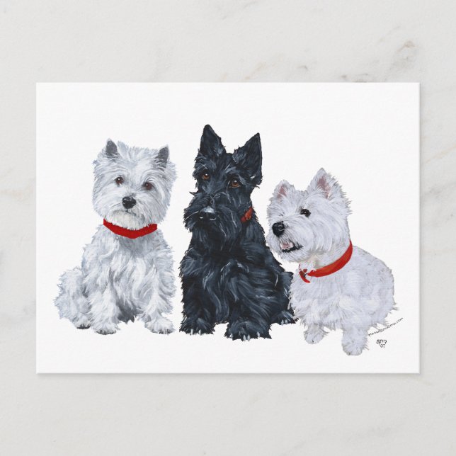 Westies och en Scottie Tillsammans Vykort (Framsida)