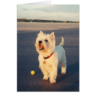 Westies och havet hälsningskort