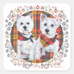 Westies på Tartan Fyrkantigt Klistermärke