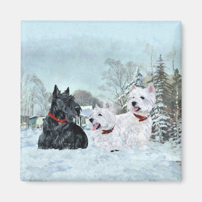 Westies & Scottie på vintern Magnet (Framsidan)