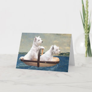 Westies Seglar Kort