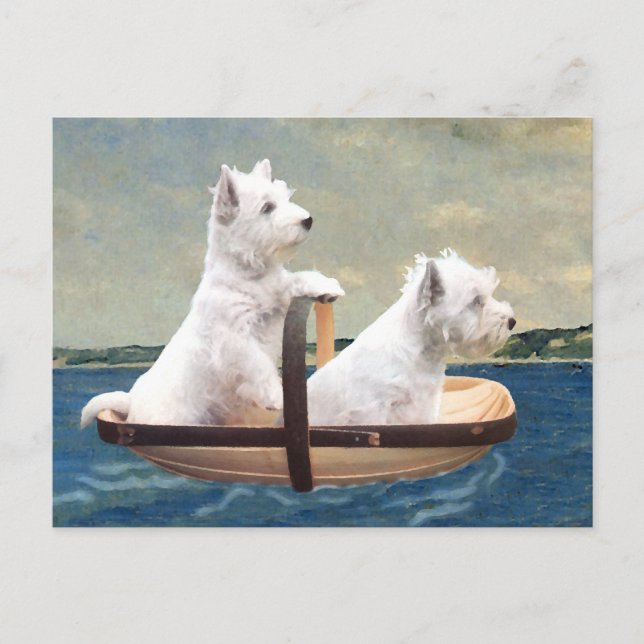 Westies Seglar Vykort (Framsida)