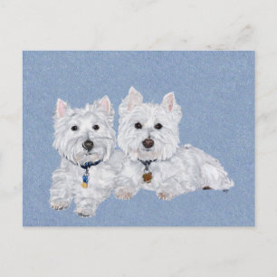 Westies vykort