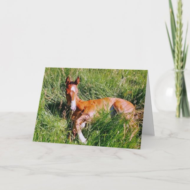 Weston napping kort (Framsida)