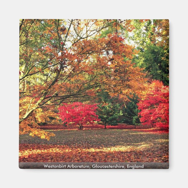 Westonbirt Arboretum, Gloucestershire, England Magnet (Framsidan)